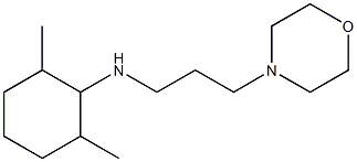 2,6-dimethyl-N-[3-(morpholin-4-yl)propyl]cyclohexan-1-amine Struktur