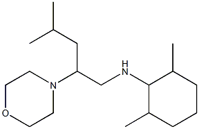 2,6-dimethyl-N-[4-methyl-2-(morpholin-4-yl)pentyl]cyclohexan-1-amine Struktur