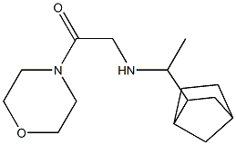 2-[(1-{bicyclo[2.2.1]heptan-2-yl}ethyl)amino]-1-(morpholin-4-yl)ethan-1-one Struktur