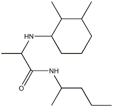 2-[(2,3-dimethylcyclohexyl)amino]-N-(pentan-2-yl)propanamide Struktur