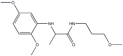 2-[(2,5-dimethoxyphenyl)amino]-N-(3-methoxypropyl)propanamide Struktur