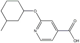 2-[(3-methylcyclohexyl)oxy]pyridine-4-carboxylic acid Struktur