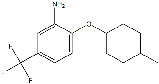 2-[(4-methylcyclohexyl)oxy]-5-(trifluoromethyl)aniline Struktur