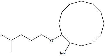 2-[(4-methylpentyl)oxy]cyclododecan-1-amine Struktur