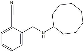 2-[(cyclooctylamino)methyl]benzonitrile Struktur