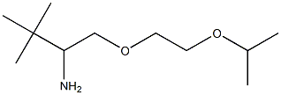 2-[2-(2-amino-3,3-dimethylbutoxy)ethoxy]propane Struktur