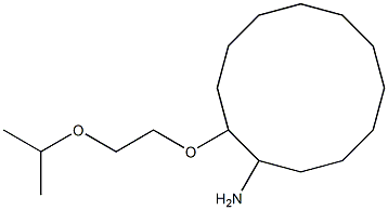 2-[2-(propan-2-yloxy)ethoxy]cyclododecan-1-amine Struktur