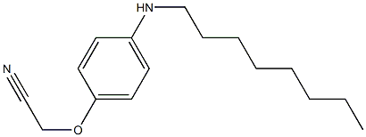 2-[4-(octylamino)phenoxy]acetonitrile Struktur