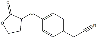 2-{4-[(2-oxooxolan-3-yl)oxy]phenyl}acetonitrile Struktur