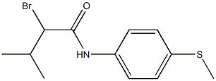 2-bromo-3-methyl-N-[4-(methylsulfanyl)phenyl]butanamide Struktur