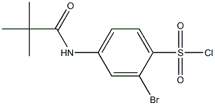 2-bromo-4-(2,2-dimethylpropanamido)benzene-1-sulfonyl chloride Struktur