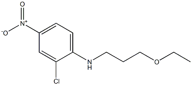 2-chloro-N-(3-ethoxypropyl)-4-nitroaniline Struktur