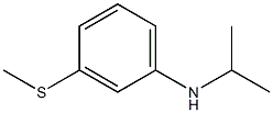 3-(methylsulfanyl)-N-(propan-2-yl)aniline Struktur