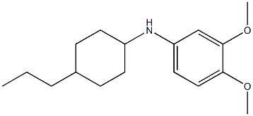 3,4-dimethoxy-N-(4-propylcyclohexyl)aniline Struktur