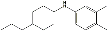 3,4-dimethyl-N-(4-propylcyclohexyl)aniline Struktur