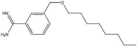 3-[(octyloxy)methyl]benzene-1-carboximidamide Struktur