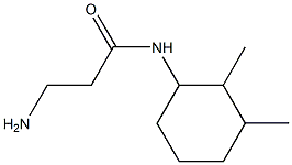 3-amino-N-(2,3-dimethylcyclohexyl)propanamide Struktur