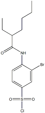 3-bromo-4-(2-ethylhexanamido)benzene-1-sulfonyl chloride Struktur