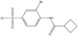 3-bromo-4-cyclobutaneamidobenzene-1-sulfonyl chloride Struktur