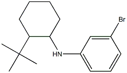 3-bromo-N-(2-tert-butylcyclohexyl)aniline Struktur