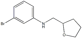 3-bromo-N-(oxolan-2-ylmethyl)aniline Struktur