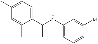 3-bromo-N-[1-(2,4-dimethylphenyl)ethyl]aniline Struktur