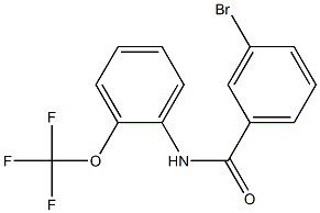 3-bromo-N-[2-(trifluoromethoxy)phenyl]benzamide Struktur