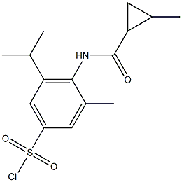 3-methyl-4-[(2-methylcyclopropane)amido]-5-(propan-2-yl)benzene-1-sulfonyl chloride Struktur