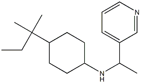 4-(2-methylbutan-2-yl)-N-[1-(pyridin-3-yl)ethyl]cyclohexan-1-amine Struktur