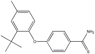 4-(2-tert-butyl-4-methylphenoxy)benzene-1-carbothioamide Struktur