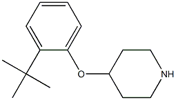 4-(2-tert-butylphenoxy)piperidine Struktur