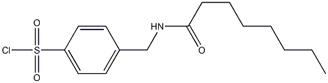 4-(octanamidomethyl)benzene-1-sulfonyl chloride Struktur