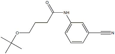 4-(tert-butoxy)-N-(3-cyanophenyl)butanamide Struktur