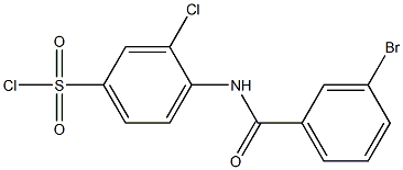 4-[(3-bromobenzene)amido]-3-chlorobenzene-1-sulfonyl chloride Struktur