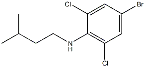 4-bromo-2,6-dichloro-N-(3-methylbutyl)aniline Struktur