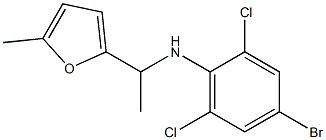 4-bromo-2,6-dichloro-N-[1-(5-methylfuran-2-yl)ethyl]aniline Struktur