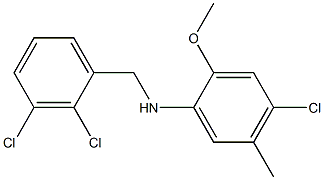 4-chloro-N-[(2,3-dichlorophenyl)methyl]-2-methoxy-5-methylaniline Struktur