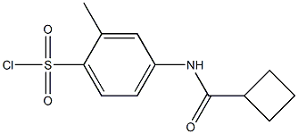 4-cyclobutaneamido-2-methylbenzene-1-sulfonyl chloride Struktur