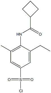 4-cyclobutaneamido-3-ethyl-5-methylbenzene-1-sulfonyl chloride Struktur