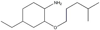 4-ethyl-2-[(4-methylpentyl)oxy]cyclohexan-1-amine Struktur