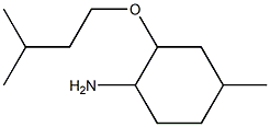 4-methyl-2-(3-methylbutoxy)cyclohexan-1-amine Struktur