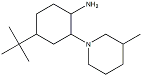 4-tert-butyl-2-(3-methylpiperidin-1-yl)cyclohexan-1-amine Struktur