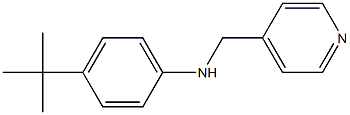 4-tert-butyl-N-(pyridin-4-ylmethyl)aniline Struktur