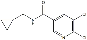 5,6-dichloro-N-(cyclopropylmethyl)pyridine-3-carboxamide Struktur