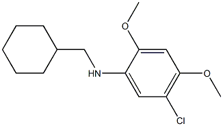 5-chloro-N-(cyclohexylmethyl)-2,4-dimethoxyaniline Struktur