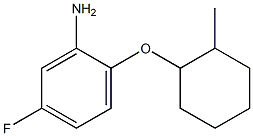 5-fluoro-2-[(2-methylcyclohexyl)oxy]aniline Struktur