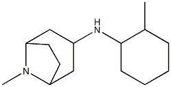 8-methyl-N-(2-methylcyclohexyl)-8-azabicyclo[3.2.1]octan-3-amine Struktur