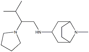 8-methyl-N-[3-methyl-2-(pyrrolidin-1-yl)butyl]-8-azabicyclo[3.2.1]octan-3-amine Struktur