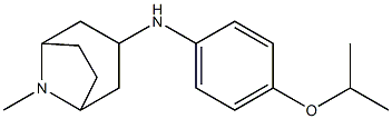 8-methyl-N-[4-(propan-2-yloxy)phenyl]-8-azabicyclo[3.2.1]octan-3-amine Struktur