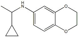 N-(1-cyclopropylethyl)-2,3-dihydro-1,4-benzodioxin-6-amine Struktur